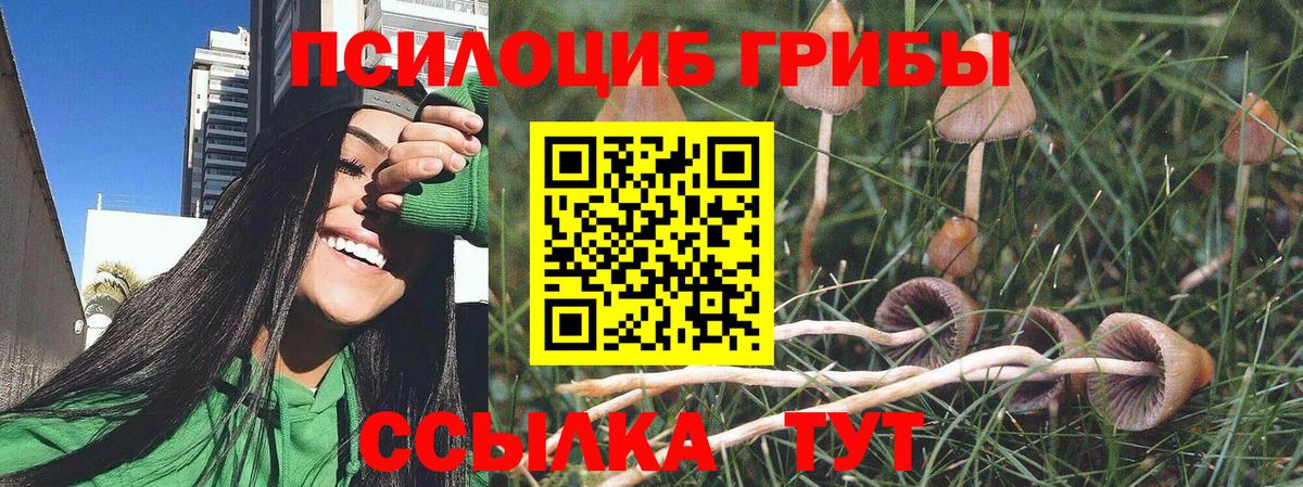 Галлюциногенные грибы мицелий  Галлюциногенные грибы прущие грибы  цены   Вход с VPN  Кудымкар 